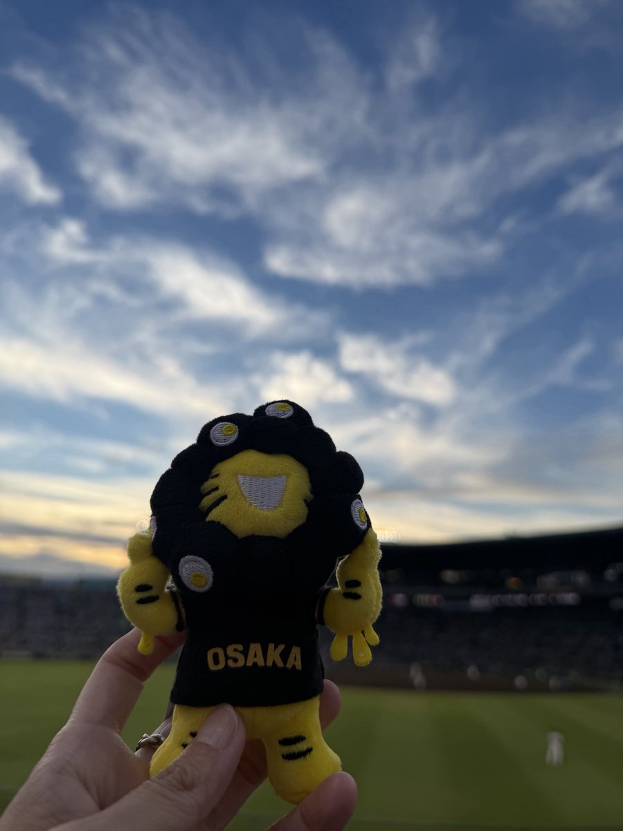 yonlemo's tweet photo. さてさてついにマジック1✨✨
広島に行こうと思えば行けたけど、明日はライブもあるしいつものお店で見届けます！！
さぁ、行こう！！　連覇の道へ✨✨ https://t.co/JBtTjbOg6U