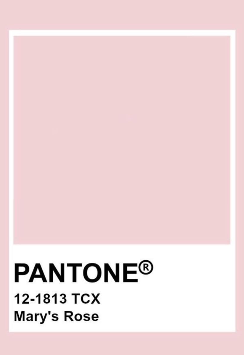 f4l13nfae's tweet photo. how pinterest sees me 

• fashion 
• pantone
• mood
• food https://t.co/zMs3CW2tY4
