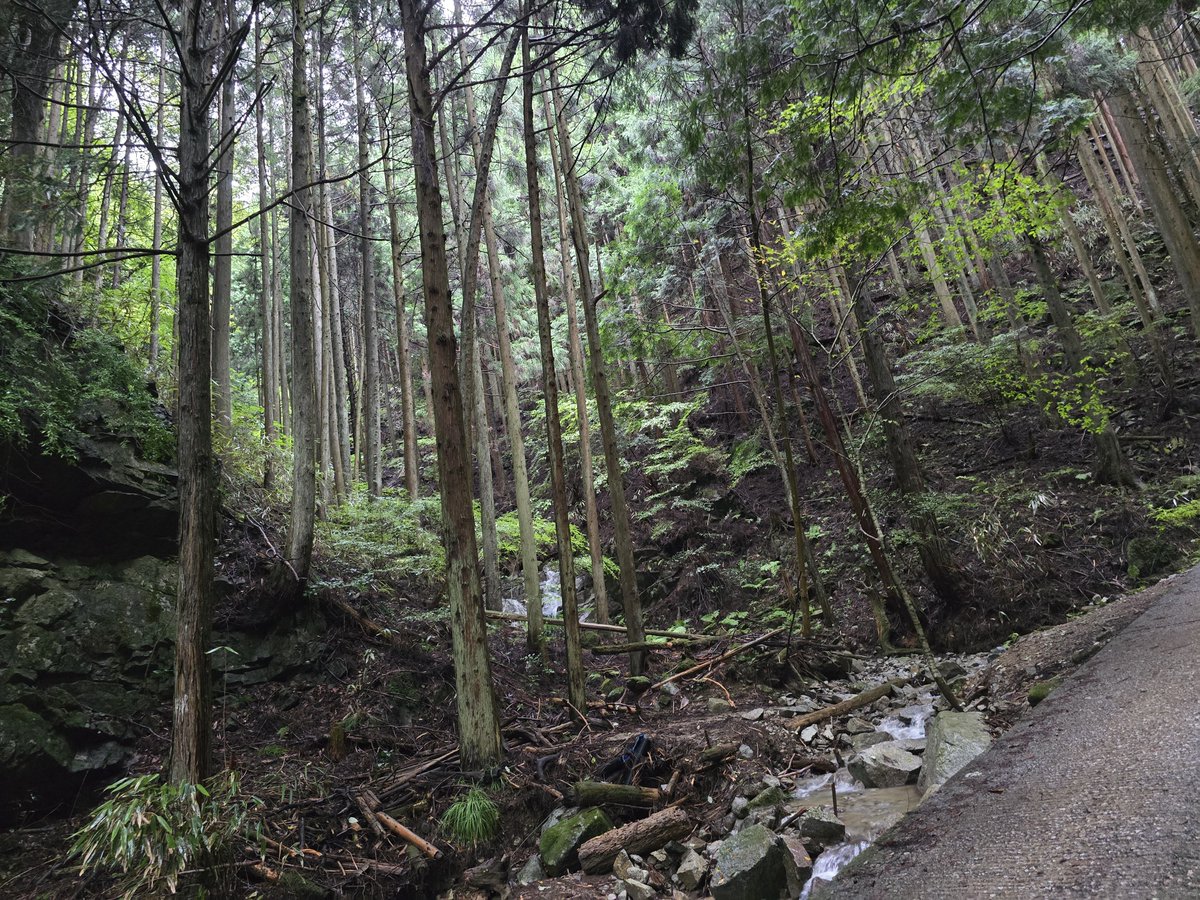 archo_michitaly's tweet photo. 気分転換に友人が山に連れ出してくれました
イオンがマイナス過ぎてプラスになる https://t.co/6b367JfjEM