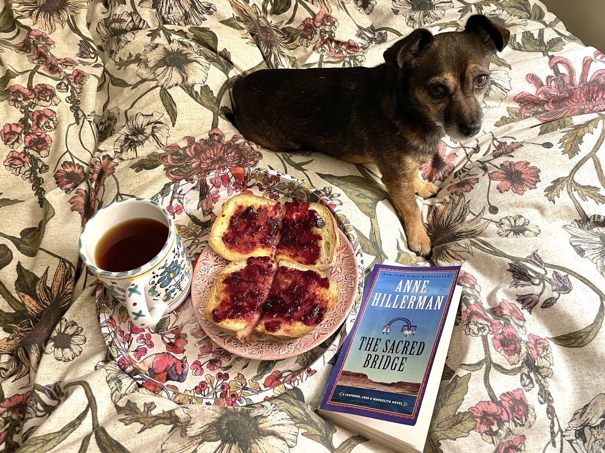 ZwartblesIE's tweet photo. Sometimes you just need a 4am treat of sourdough toast with lashings of butter, a good dualup of blackcurrant jam, a mug of tea and a good book https://t.co/2wHAscDHO3