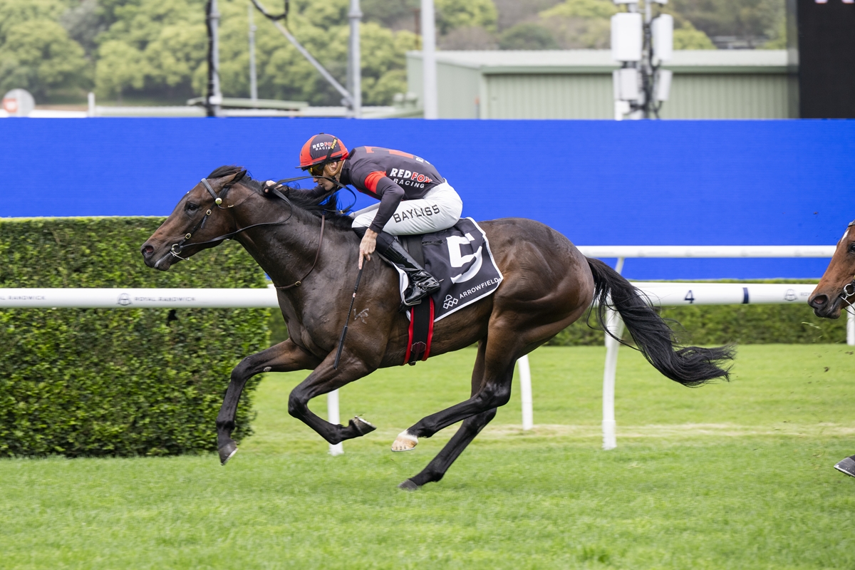 breednet's tweet photo. 60k Inglis Classic purchase from Widden, Trapeze Artist colt Flying Houdini wins G3 Breeders Plate to give the Red Fox owners a great start to the day https://t.co/rG6XlBJ8tU  @inglis_sales @widdenstud @GaiWaterhouse1 @REDFOX_Racing https://t.co/wvC85nBGhD