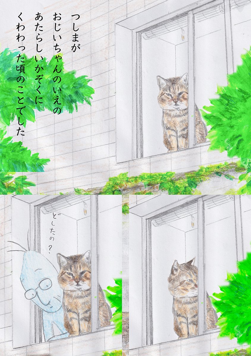tsushimacat's tweet photo. ②つづきだよ。 https://t.co/4rDxXUqFqe