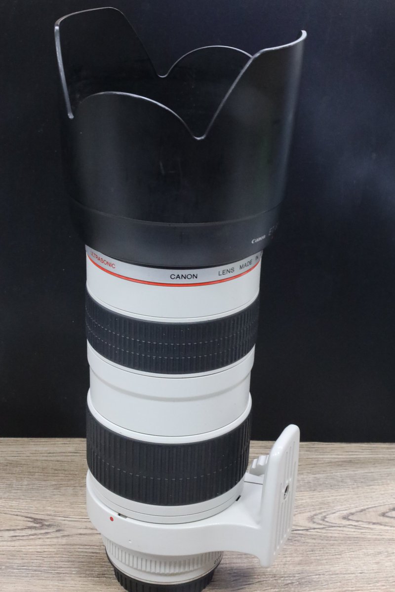Hardoffcamera's tweet photo. EF 70-200ｍｍ 1:2.8 L ULTRASONICがジャンク商品で入荷しました！
前玉後玉にカ��があります。
4枚目がこのレンズでの撮影した画像になります。
全体的に白くなっています
ご興味ある方是非ご来店ください。
#ハードオフ八王子大和田
#ハードオフ https://t.co/lpjEI9LwPa