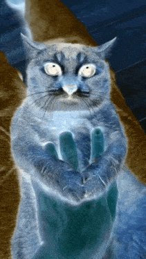 the47cat's tweet photo. https://t.co/7JnAqRGyWf