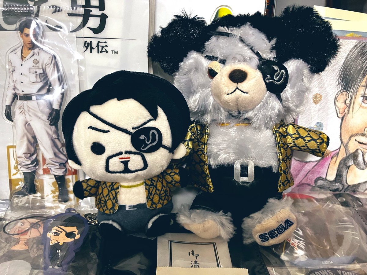 mi_ki_417's tweet photo. 昨日セガストアで、ずっと欲しかった2人をお迎えしてきたのですが、私の勿体ない精神が発動しすぎて、この子達はしばらく袋の中に入れて保管されるでしょう...

見てるだけでも可愛くて癒しなのでそれもヨシ！
いつか一緒にお出かけしましょ！ https://t.co/sMyOI5ABWX
