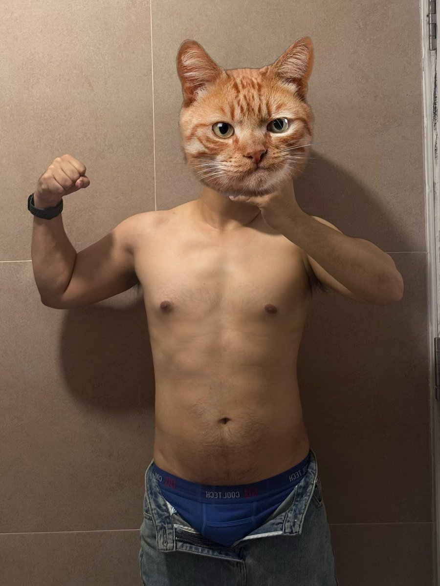 a_meatbun's tweet photo. Can I be your meaw?🐱
#เชียงใหม่ https://t.co/M9wd1rD4t0