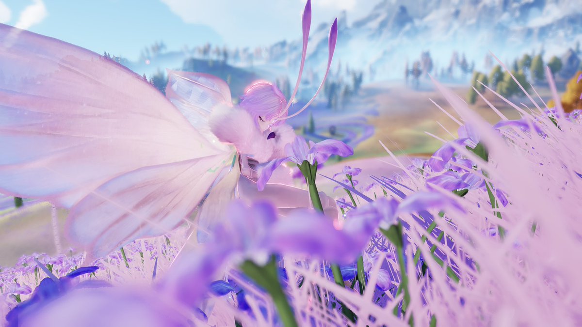 miiiimq's tweet photo. ユメアゲハ様すごいきれいな
お色になってくれた🦋𓂃 𓈒𓏸

むすってしてるお顔さえ美しい

#アニモ #aniimo https://t.co/BrGgdNbUMM