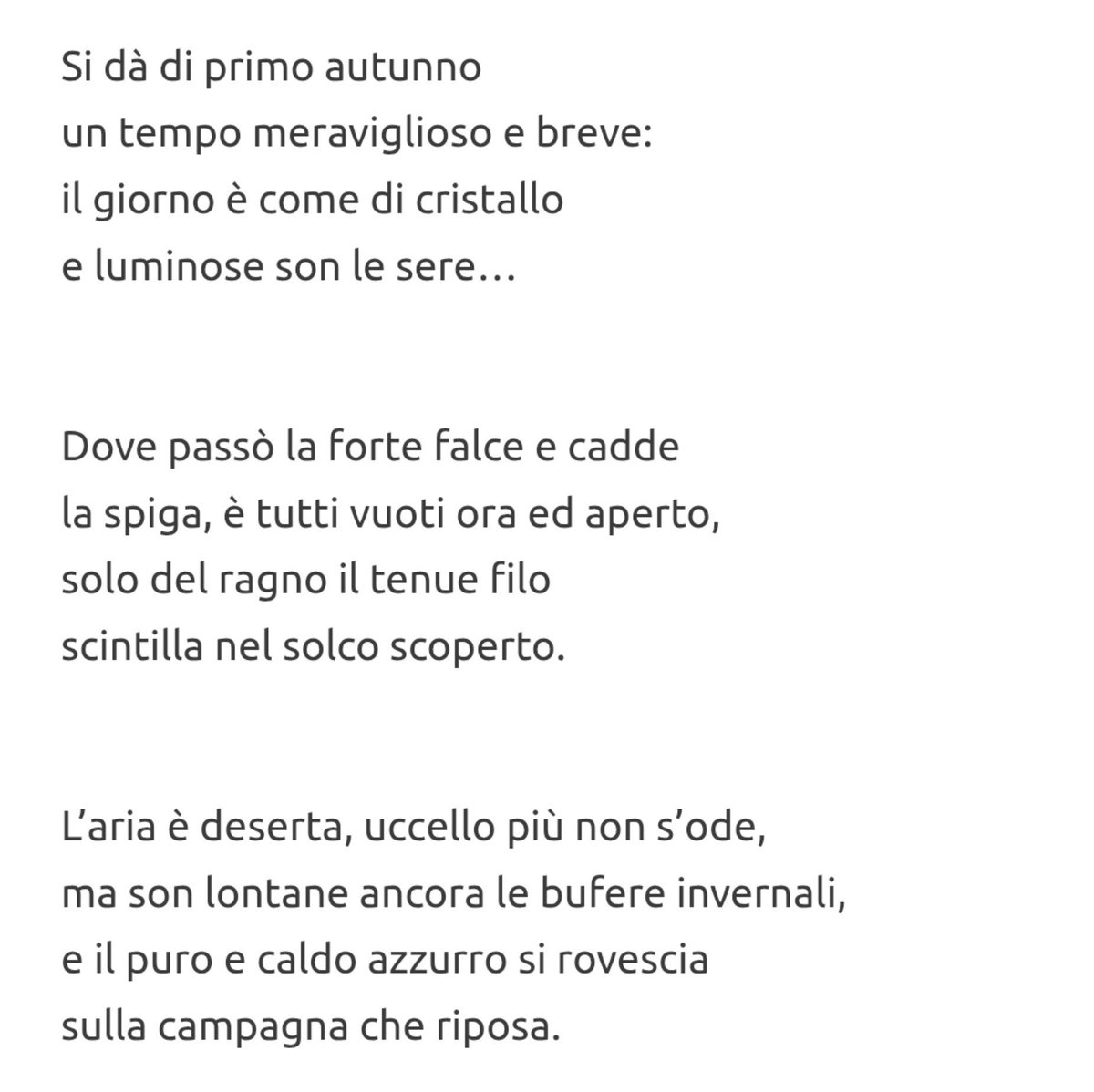 clelialino1's tweet photo. Buongiorno a tutti 🌹🍀🍂
"Primo autunno" di Fedor L. Tjutcev https://t.co/1kvd3iHypp