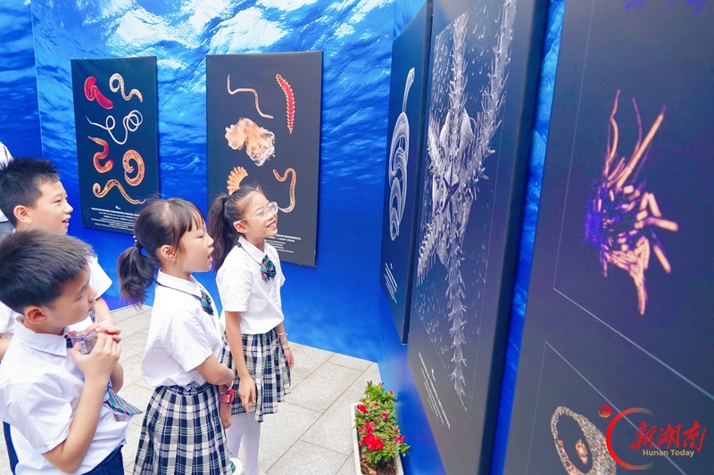 ChangShaDaily's tweet photo. What do creatures 6,000 meters under the sea look like? The Secrets of the Abyss, a joint exhibition for the Franco-Chinese Month of Environment, has recently opened at the Hunan Museum of Geology. The exhibition is free to the public and runs through December.
#FrancoChinese #France #culture #exhibition #Changsha 
https://t.co/fEoWhr8v2o