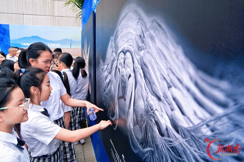 ChangShaDaily's tweet photo. What do creatures 6,000 meters under the sea look like? The Secrets of the Abyss, a joint exhibition for the Franco-Chinese Month of Environment, has recently opened at the Hunan Museum of Geology. The exhibition is free to the public and runs through December.
#FrancoChinese #France #culture #exhibition #Changsha 
https://t.co/fEoWhr8v2o