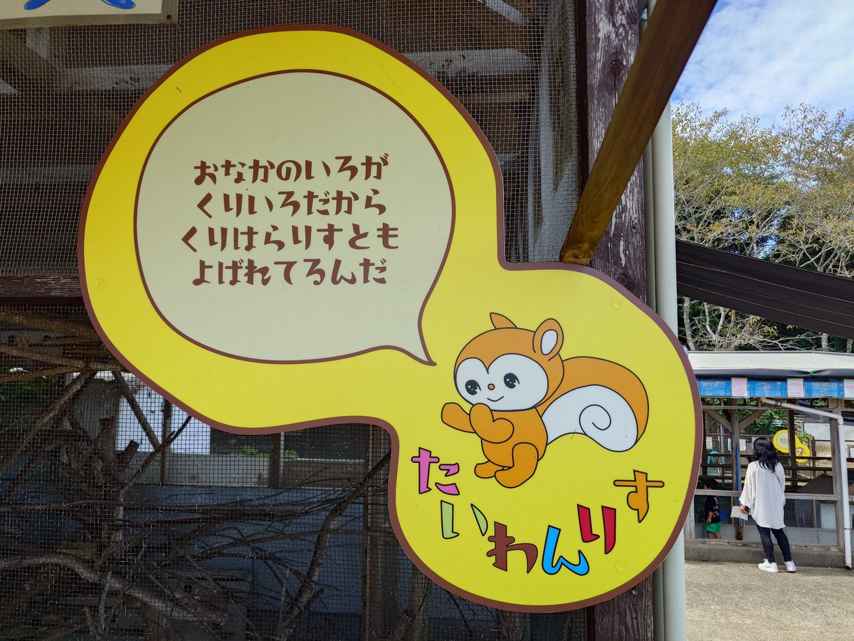 ririnasoon's tweet photo. 初訪問（528ヶ所目）
メルヘン村 動物ふれあいゾーン

あまり知られていないメルヘン村の動物要素
意外と大きい
リスの遊園地なだけあってしっかりシマリスとタイワンリスがいる https://t.co/Cx0VLdJBjH