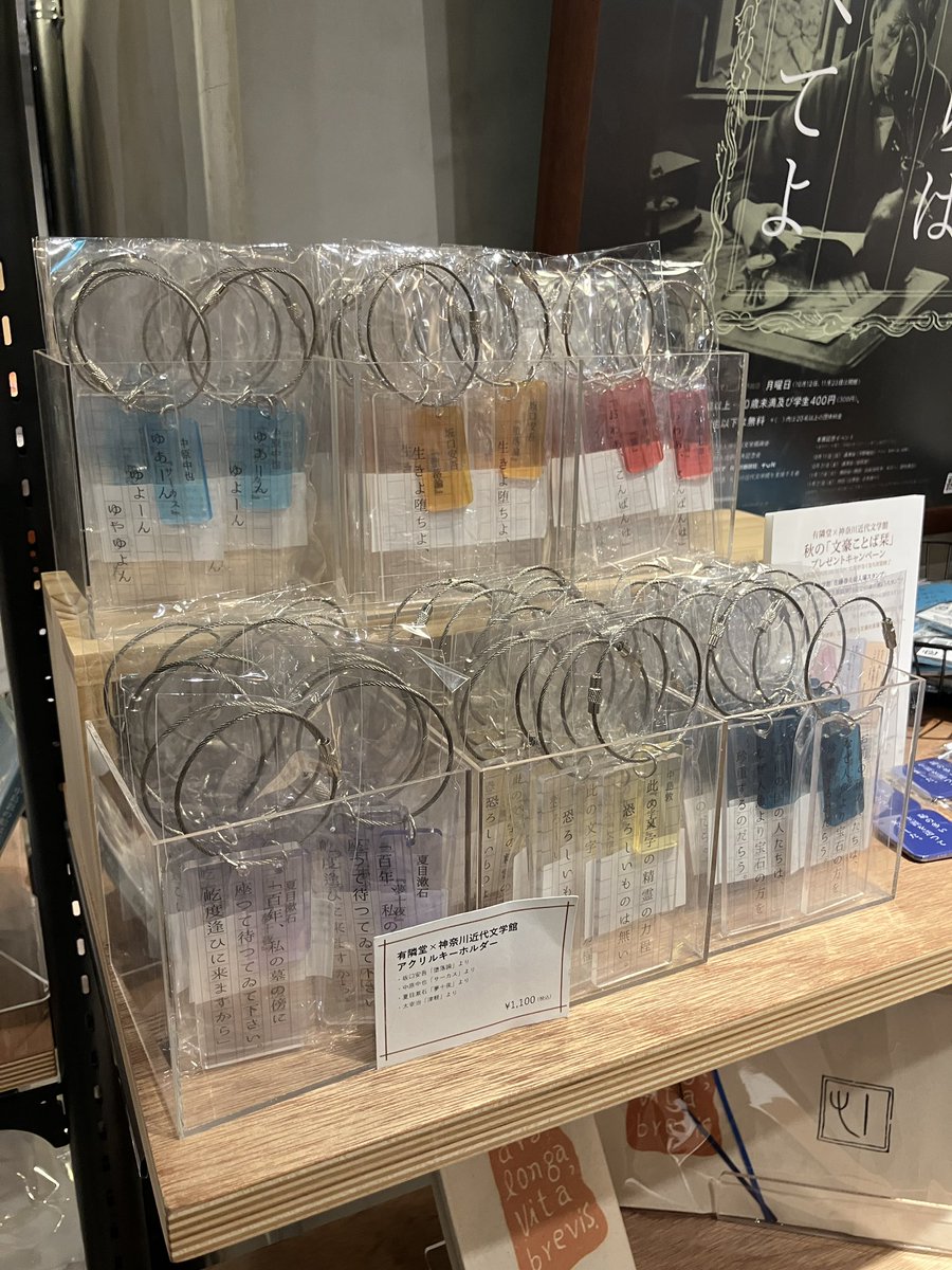 yurindo_basegat's tweet photo. 「有隣堂×神奈川近代文学館　クリアキーホルダー」に新作が3種類登場しました！

中島敦『文字禍』
谷崎潤一郎『人魚の嘆き』
萩原朔太郎『猫』

是非お手に取ってみてください https://t.co/IDu5Wsn6xE