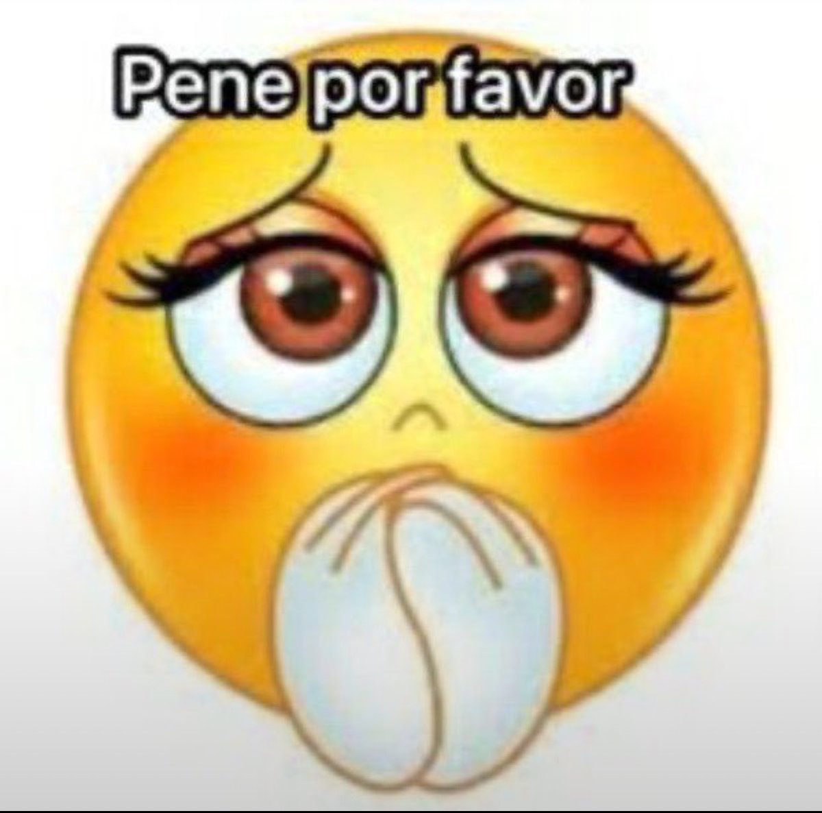 bbenitezmalena's tweet photo. desde hace 5 días que tengo el libido altísimo no aguanto más dios https://t.co/IinzZaF3Yb