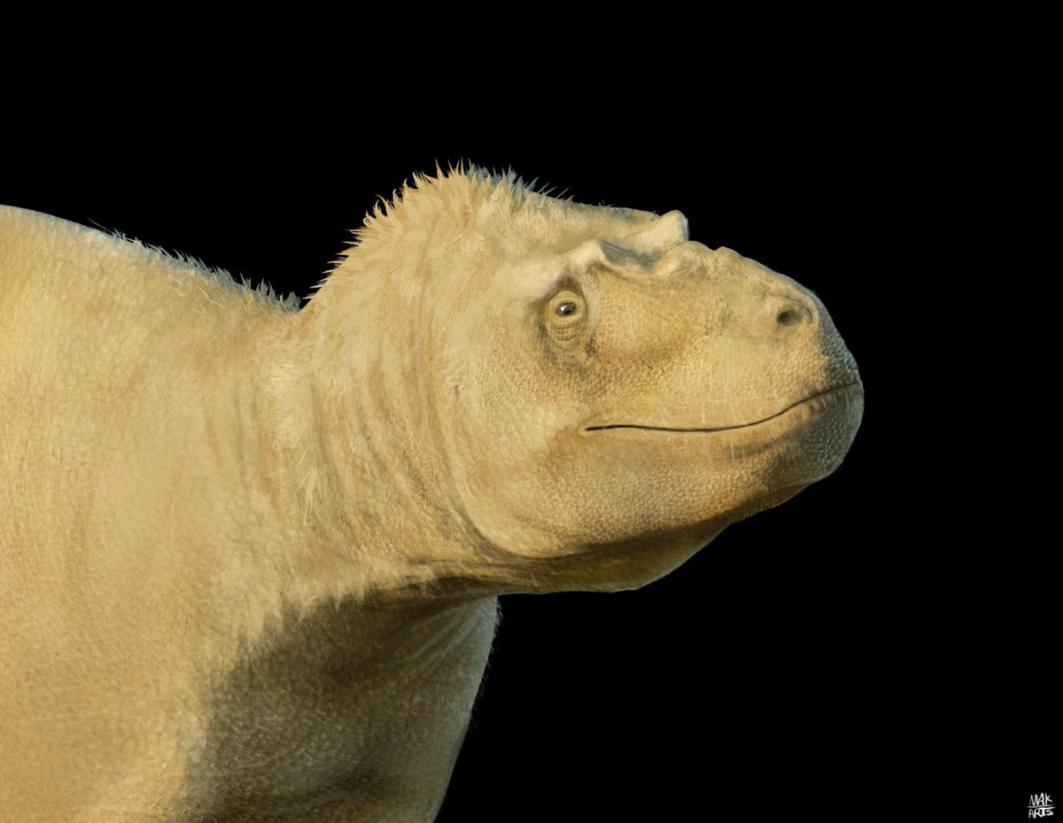 MakArts_'s tweet photo. Posting again cuz i want to see it on search

Tromerosaurus solumons (definitely not Albertossurus) paleoart, please gimme this time 20k likes https://t.co/vEYdTt14Bz