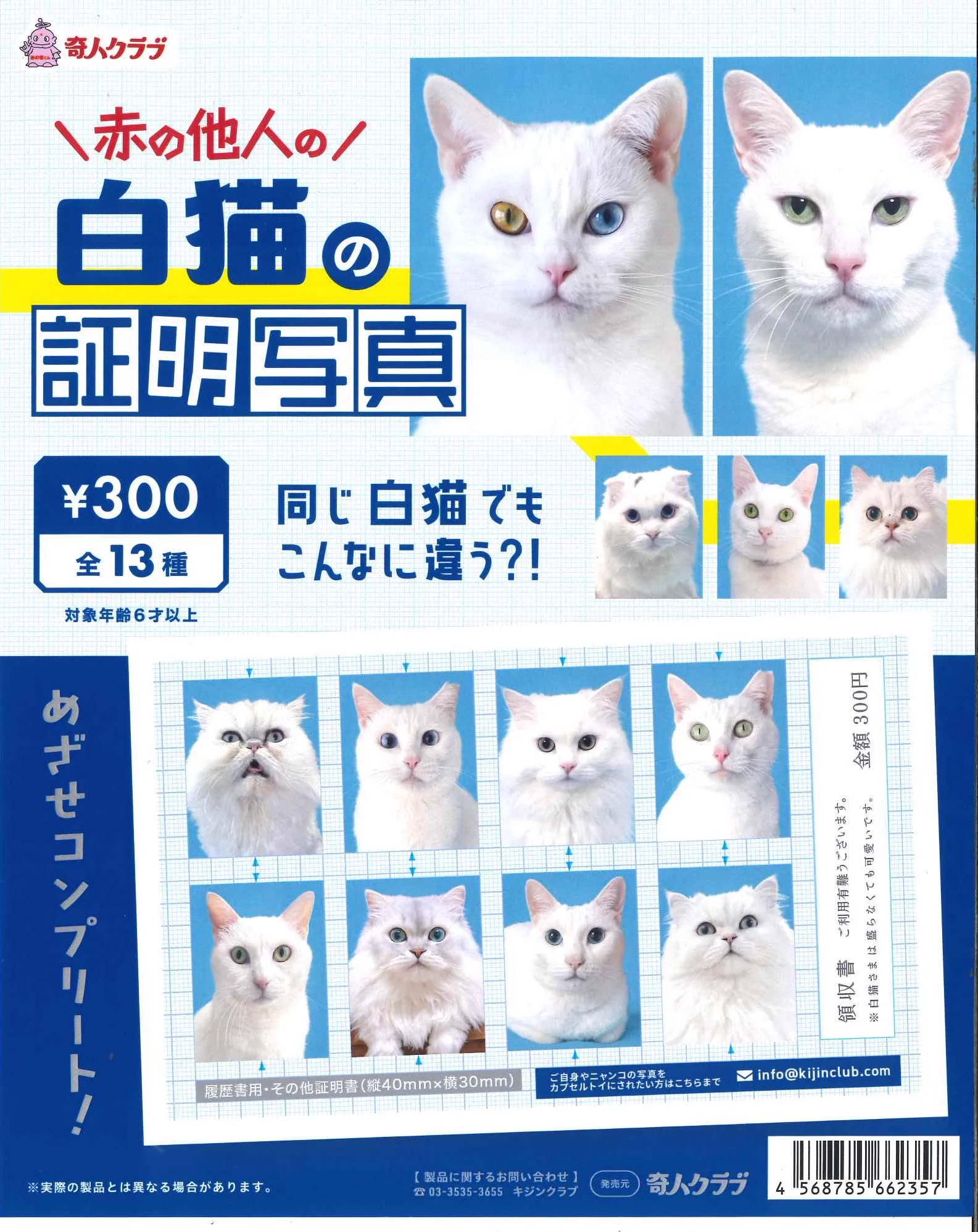 確認画像　白い猫　　入札❌️ C-pla 名古屋大須店 【公式】 on X: 
