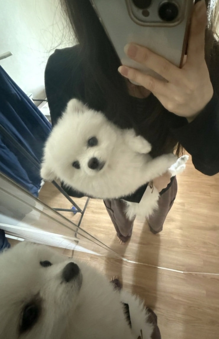 LUNA07575748's tweet photo. 트둔녀들 셋로그 유행 다지나서 시작했는데 누구보다 애용함
그리고 오늘의 우리 개 https://t.co/AHdEH8WkH2