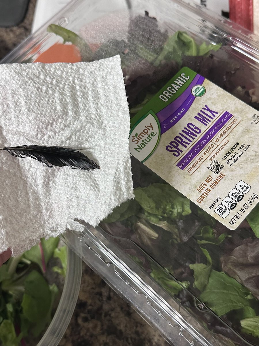 AshtonMarshall1's tweet photo. @AldiUSA …I just wanted a night salad… https://t.co/39Tky0MkGC