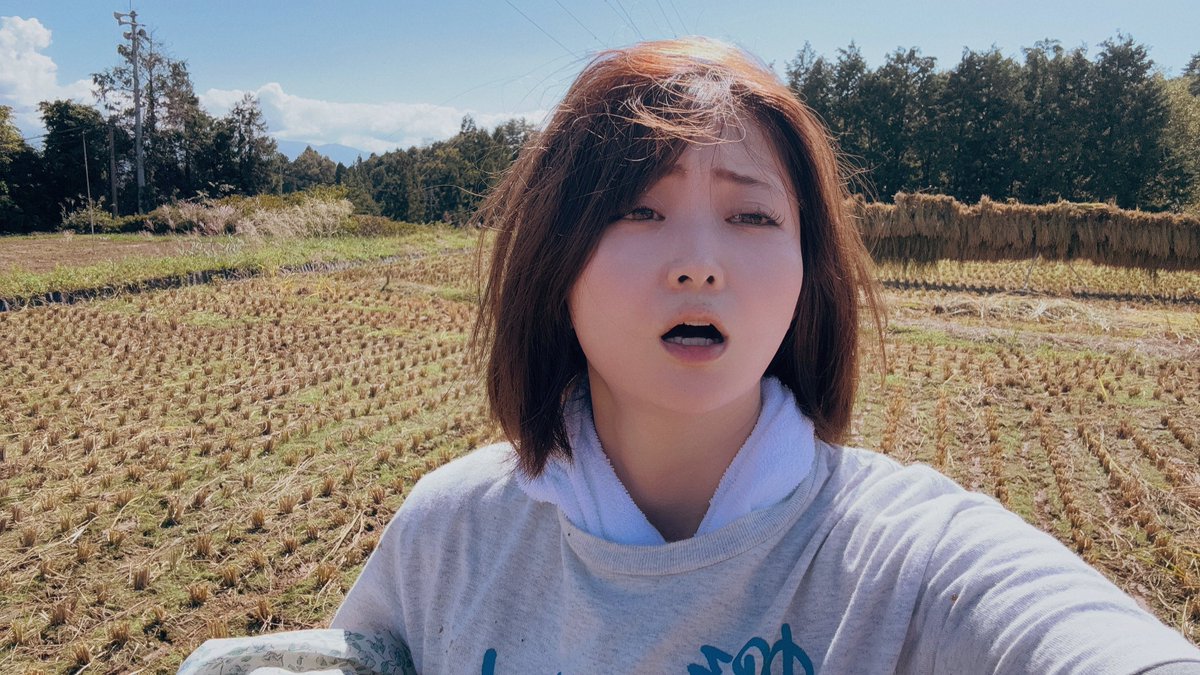 妃月類