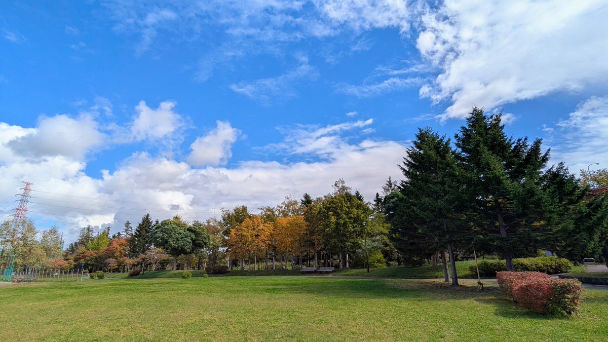 snoopyko1234's tweet photo. 北海道はでっかいど〜🐿️🍄

こんにちは♪
くもり

出かける前に散歩👣
やっと１５度

この木にリスいます✨🥰✨
今日も思いがけずリスに会えました😁✌️✨
リスは私のクルミ食べてました

幸せ🥳🌈✨

🍁土曜日🍁🍂
今日も一日元氣に明るく仲よく楽しくよろしくお願いします

１２:２０📸🫧 https://t.co/sEsySkCqrZ