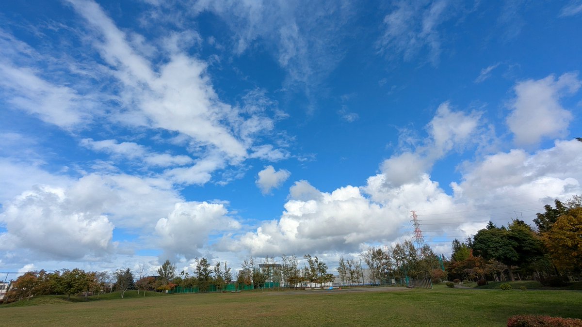 snoopyko1234's tweet photo. 北海道はでっかいど〜🐿️🍄

こんにちは♪
くもり

出かける前に散歩👣
やっと１５度

この木にリスいます✨🥰✨
今日も思いがけずリスに会えました😁✌️✨
リスは私のクルミ食べてました

幸せ🥳🌈✨

🍁土曜日🍁🍂
今日も一日元氣に明るく仲よく楽しくよろしくお願いします

１２:２０📸🫧 https://t.co/sEsySkCqrZ