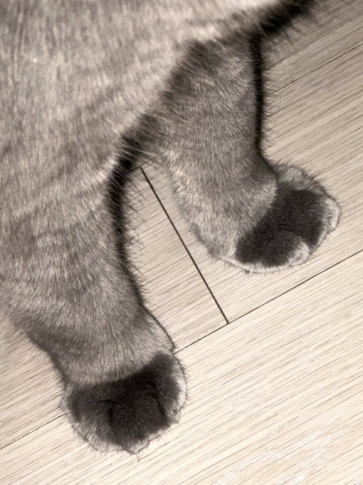 fakeiwal0's tweet photo. 정은이가 보내주는 베베 부 너무 귀여움
정은이랑 넘 잘 어울리고..
사진많이줫으면조켓네 https://t.co/o9u2CjGmlV
