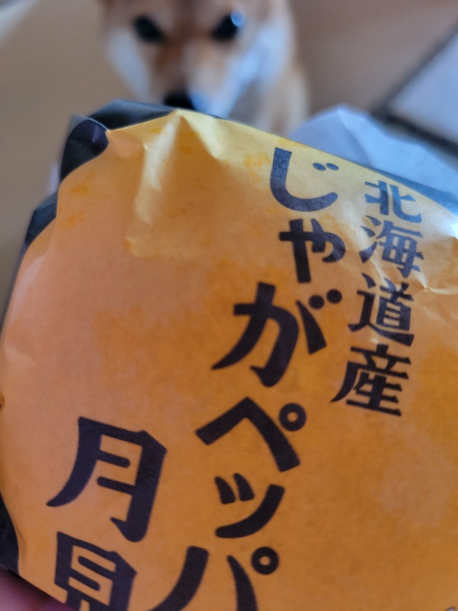 SaltSummerDog's tweet photo. 🥔🌙🍔✨️✨️✨️✨️✨️ https://t.co/TnGHL45xW5