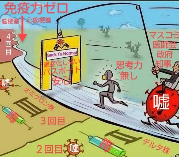 seigihakatta tweet picture
