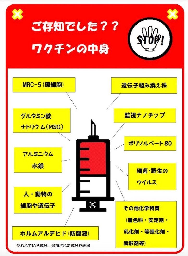 seigihakatta tweet picture