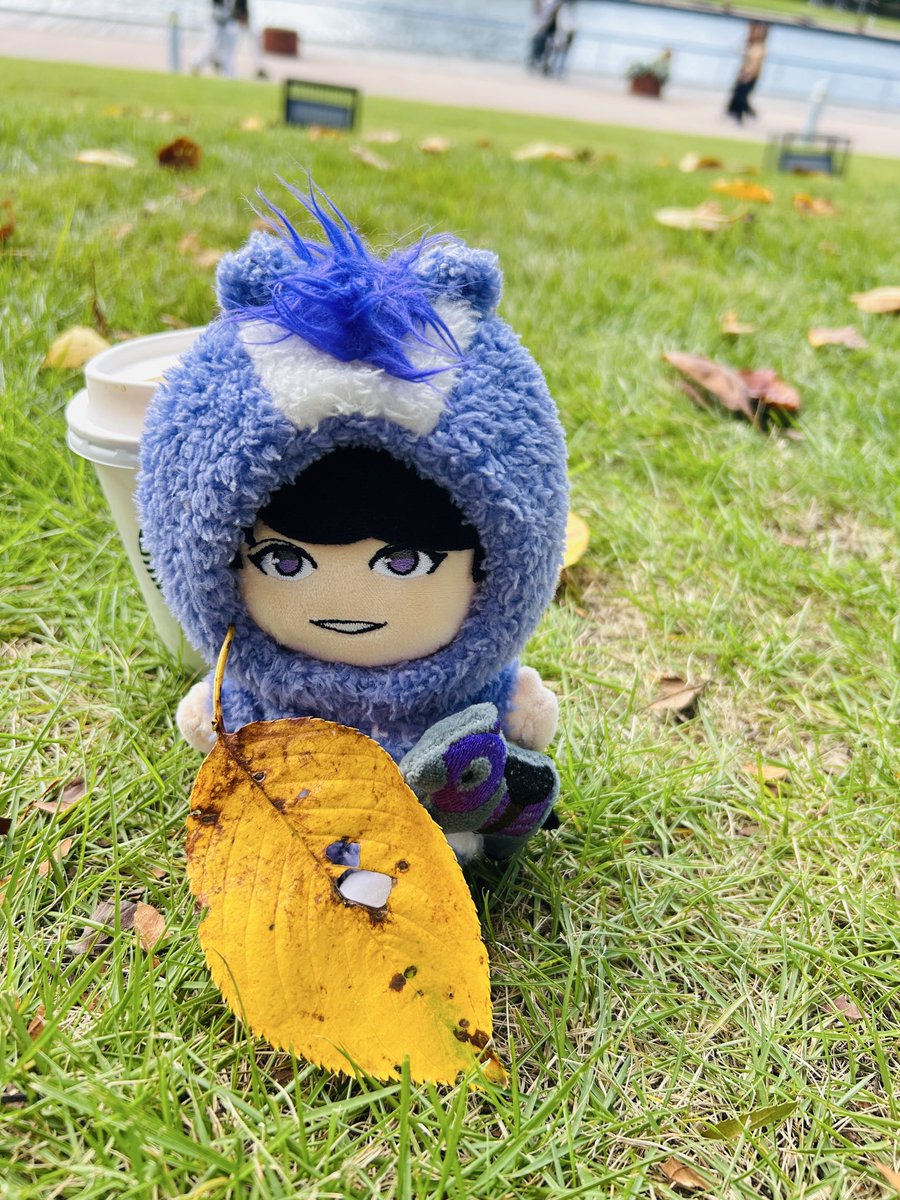 1235ti's tweet photo. 秋ですね🍂
今日はバスケ開幕戦🏀✨
勝つぞー！！！！！ https://t.co/XfPIIiOht1