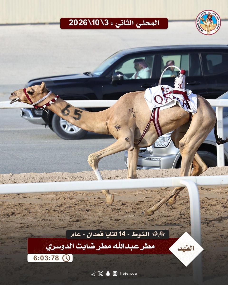 HejenAlkhreib's tweet photo. 🐪 ش14 الفهد لـ مطر عبدالله مطر الضابت الدوسري (السباق المحلي الثاني 03-10-2026) لقايا قعدان مفتوح 6:03:78

https://t.co/DtxCrTVRZ4 https://t.co/Mbbb50IIMk