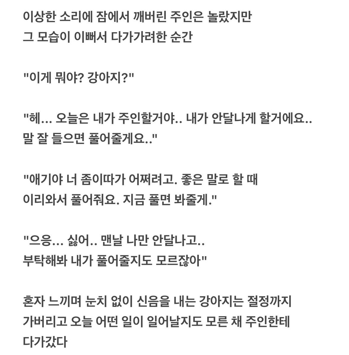 quiet_burrow's tweet photo. 주인한테 까불다가 잔뜩 혼나버렸어요
#로망트 #리틀 https://t.co/rHxWhNpuXO