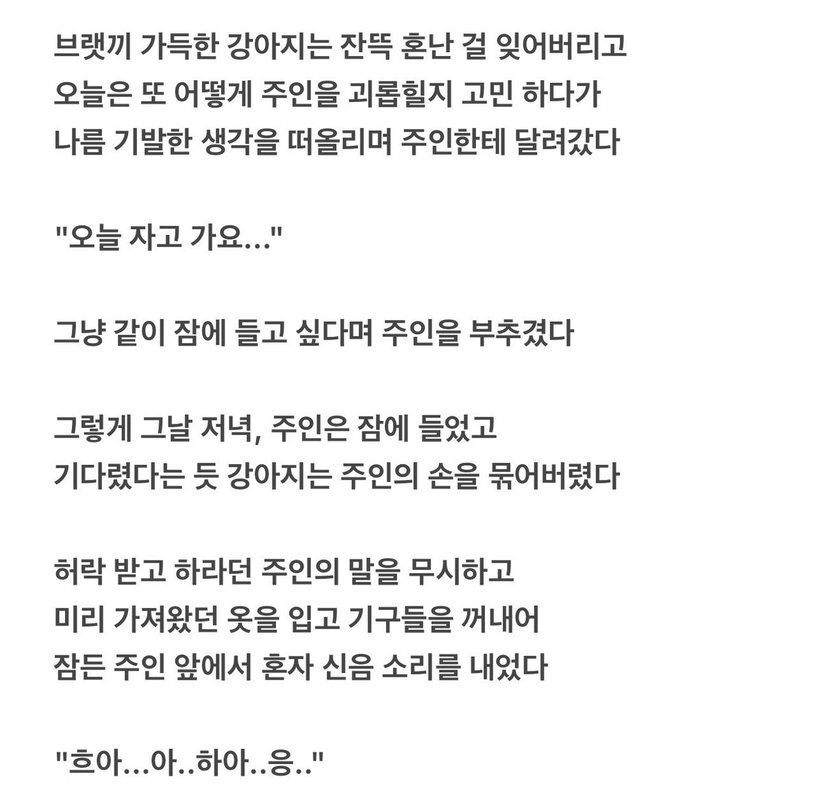 quiet_burrow's tweet photo. 주인한테 까불다가 잔뜩 혼나버렸어요
#로망트 #리틀 https://t.co/rHxWhNpuXO