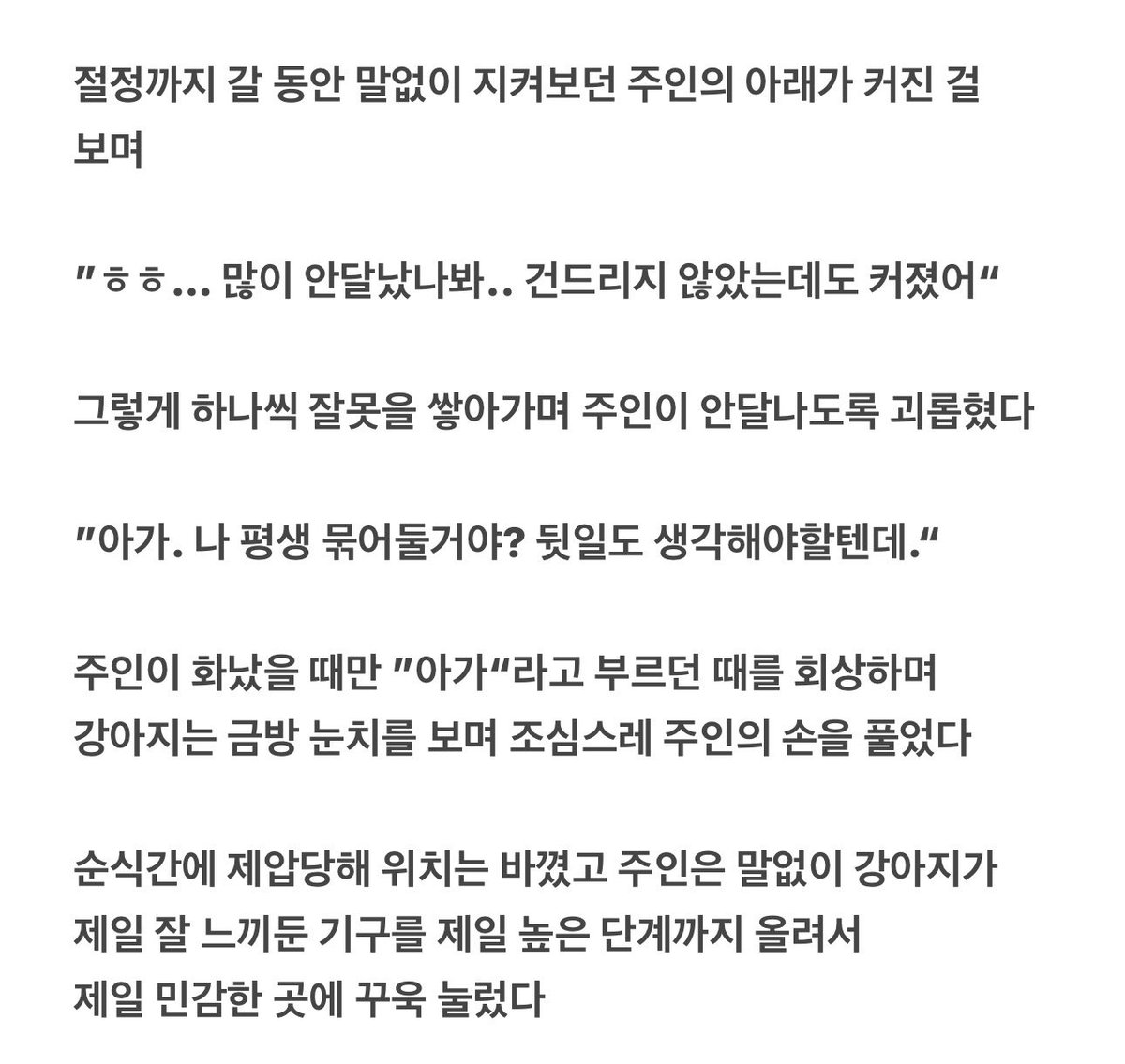 quiet_burrow's tweet photo. 주인한테 까불다가 잔뜩 혼나버렸어요
#로망트 #리틀 https://t.co/rHxWhNpuXO