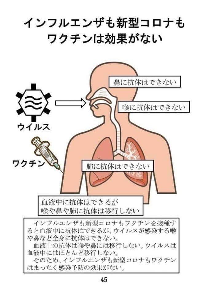 seigihakatta tweet picture