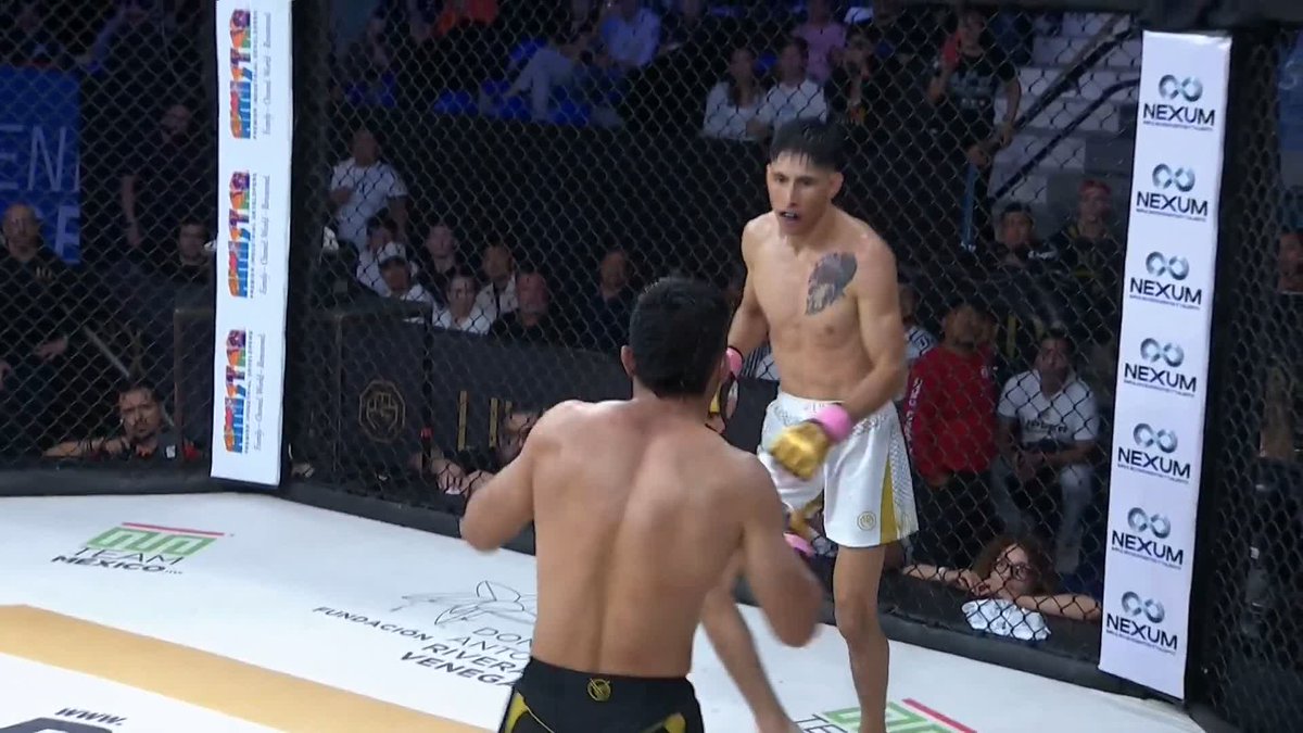 Two shirtless MMA fighters facing each other inside a cage during a match, with spectators in the background and sponsor banners reading "NEXUM", "Funatics", and "BIO FLAVON Mexico".