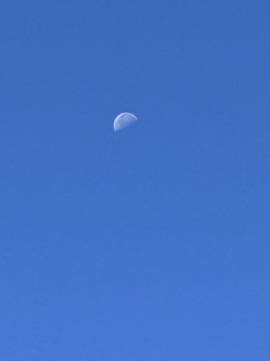 5Eco0c16's tweet photo. ちなみに今日の気温です。
今朝月🌙が出てた。
もうすぐおしまいの花💐も。 https://t.co/Eayfeu58mO