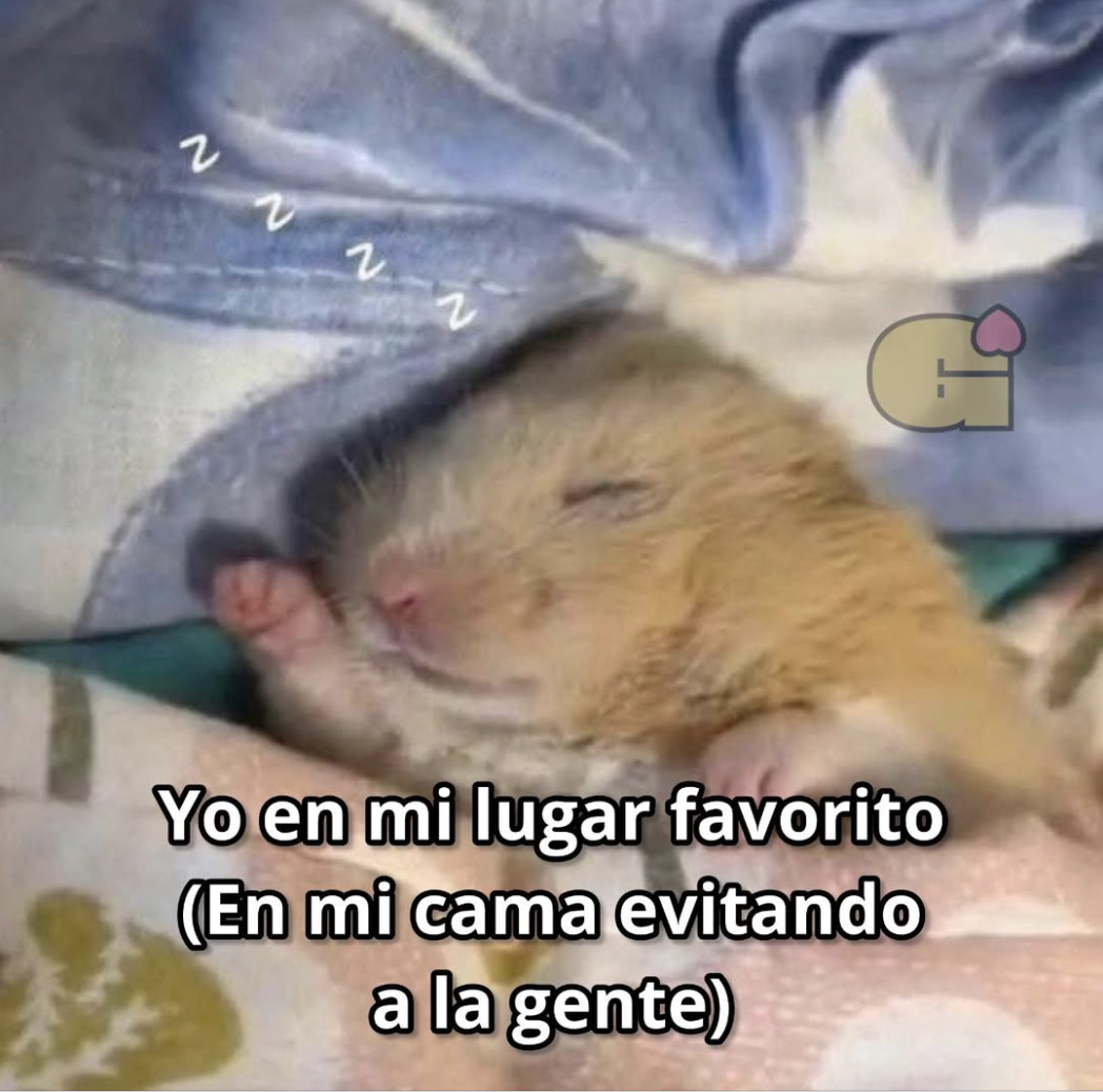 Guarromantico_'s tweet photo. Mi lugar favorito. https://t.co/Gxg7zMXYxQ