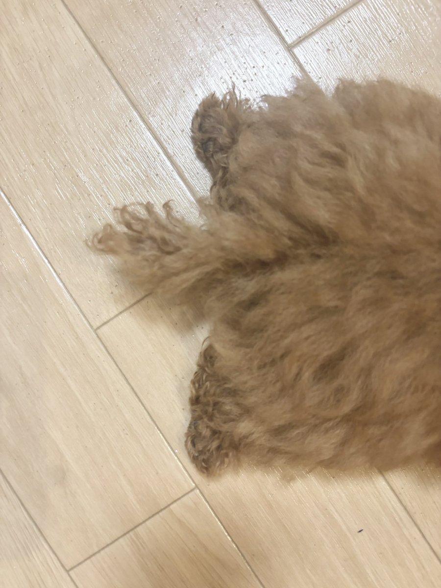 _upache's tweet photo. あまり絵以外は載せないようにしているためもしかしたらこの後消しちゃうかもなのですがどうしてもこのぷりぷりの足を見ていただきたく………………… https://t.co/HSLrghIQbH