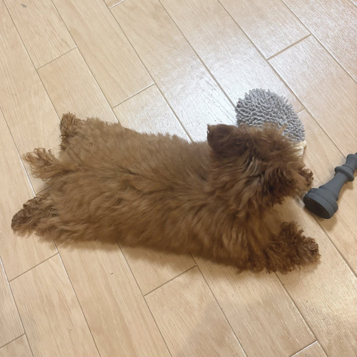 _upache's tweet photo. あまり絵以外は載せないようにしているためもしかしたらこの後消しちゃうかもなのですがどうしてもこのぷりぷりの足を見ていただきたく………………… https://t.co/HSLrghIQbH
