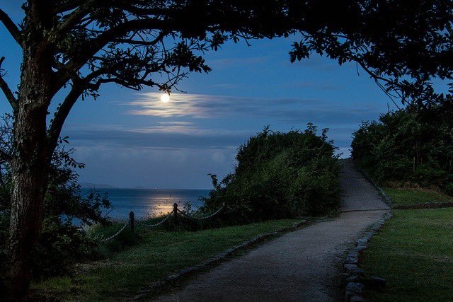 Craftsmangod's tweet photo. a walk accompanied by the moon.. https://t.co/OPeviEvmHf