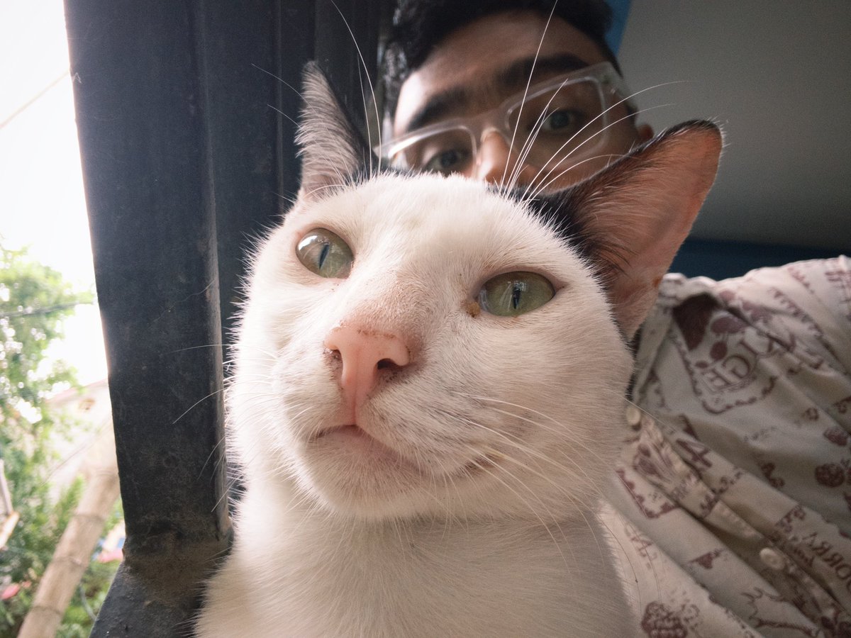 priii_io's tweet photo. is my billa normal https://t.co/3T23gKJaWP