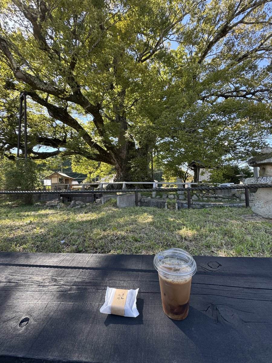 883R's tweet photo. 久しぶりに気持ち良い秋空を、バイクで駆けてます
お昼は、亥の子カフェのレストラン！ https://t.co/3miVSbbVAi
