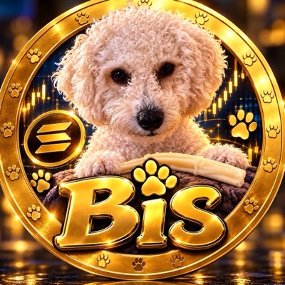 BiscoffOnSol's tweet photo. #NewProfilePic https://t.co/Kbkluzl7tX