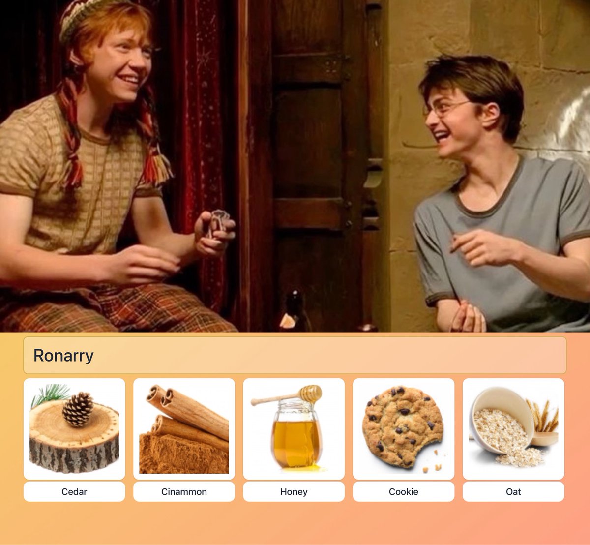 blossom_weasley's tweet photo. Ronarry 🍯🪵🍂🌾🍪 https://t.co/WU6eQ3hXko