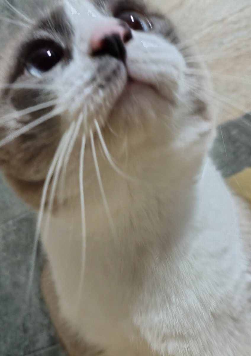 koletisfuh's tweet photo. Mi vida tan lindo vas a ser https://t.co/yxFJ5dofRI