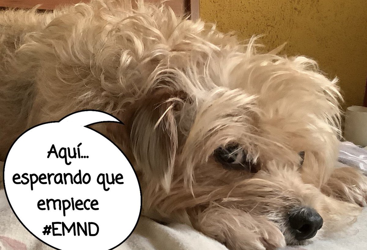 uacm_ingenieros's tweet photo. Cuenta regresiva para #EMND #SME #WSW #ElEspacioYLaMenteNoDiscriminan
#EMND2026 https://t.co/2TYNPH3AEe