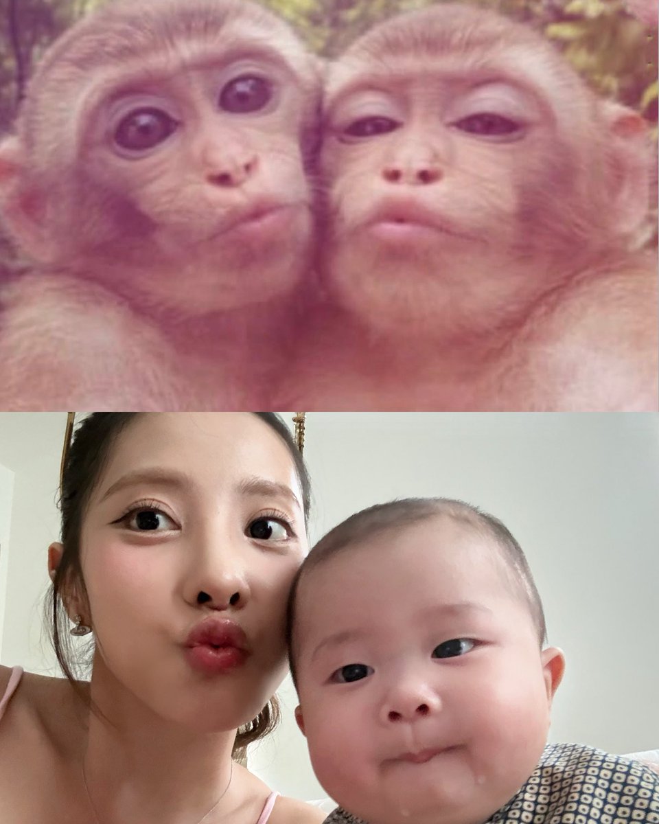 pttt236's tweet photo. น้าพิกบอกว่าโชคดีที่โสดตอนช่วงมีหลาน (น้องคีธ) พอดี ก็เลยไม่ค่อยเหงาขนาดนั้น น้องคีธเพื่อนรักน้าพิกจริง ๆ นะ เกิดมาเพื่อเล่นกับน้าพิก555555555555 https://t.co/kS8n9VPxek