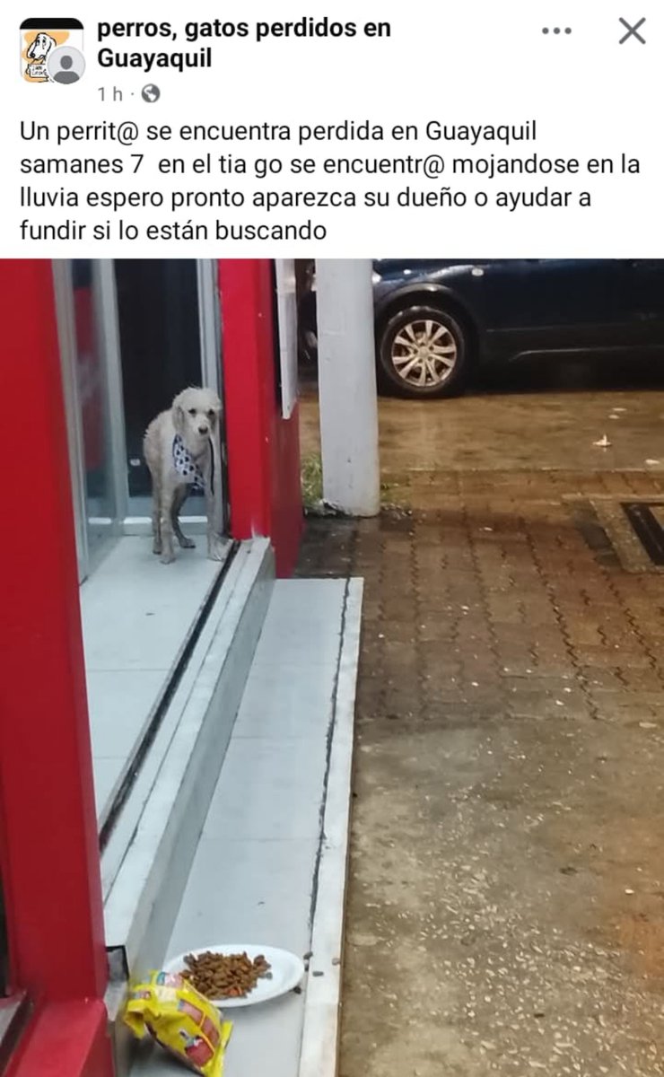 DefensoresAn's tweet photo. #Guayaquil Alguien la busca? Por favor difundir https://t.co/e33z6OM1B3