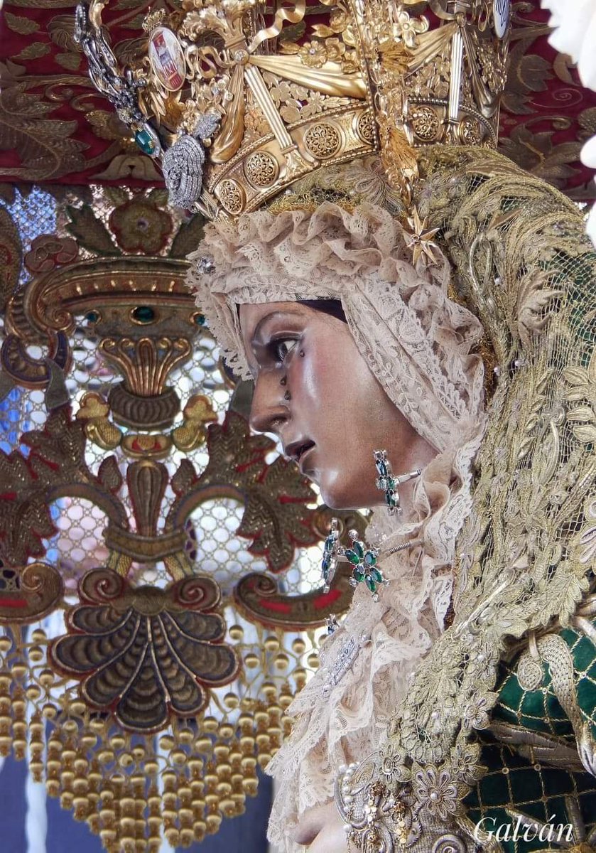 mst1953's tweet photo. Buenos días nos dé mi Virgen de La Esperanza
#MadreDeDios
#PuertaDelCielo
#ArcaDeLaAlianza
#ReinaDeLaPaz
#MadreDelSalvador
#EstrellaDeLaMañana
#SaludDeLosEnfermos
#ConsueloDeLosAfligidos
#MadreDeLosMacarenos
#EsperanzaYSalud
#RuegaPorNosotros
#RosaDeOroMacarena
#MadreCuidaDeEllos https://t.co/eIoeHyKteV