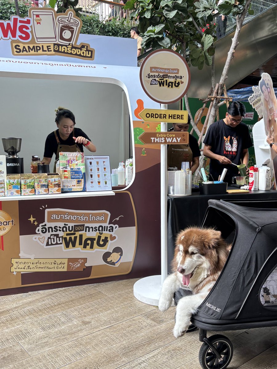 SmartHeart_Gold's tweet photo. 🐶🎉 มาเจอกัน SmartHeart Gold Pop-up Bistro 
ที่ Central EastVille ชั้น 1 บริเวณใกล้กับร้าน Yuzu House
3 ต.ค. 69 วันนี้วันเดียวน้าาา

📸 ฟินแน่ ! แวะมาถ่ายรูปเช็กอินคู่กับ Standee เชฟปอนด์สุดหล่อย
🎁 รับฟรี ! อาหารสุนัข SmartHeart Gold Sample ให้น้องหมาได้ลองชิม
🥤✨ ถ่ายรูปเช็กอินติดแฮชแท็กกิจกรรมที่บูธ รับเลย "เครื่องดื่มสุดพิเศษ" ให้คุณพ่อคุณแม่ชื่นใจ

และไฮไลต์วันนี้! เตรียมพบกับแก๊ง SmartHeart Gold Family ที่มารอเจอ FC แบบใกล้ชิด
🤎 11.30 น. : ใบเตย & ใบตอง (เพจ หมาสองใบ)
🤎 12.45 น. : มิสชูว (เพจ Miss Choo)
🤎 14.30 น. : จอมเวทย์ (เพจ หมาจอมเวทย์ มหาเมฆ)

ที่สุดท้ายแล้ว รีบพุ่งตัวมาด่วน ๆ แล้วเจอกันที่บูธนะ 🤎

#SmartHeartGold #SmartHeartGoldBistro
#อีกระดับของการดูแลเป็นพิเศษ
#ทุกความต้องการพิเศษต้องSmartHeartGold
#SmartHeartGoldxPondNaravit #ppnaravit